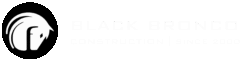 Black Bronco Construction